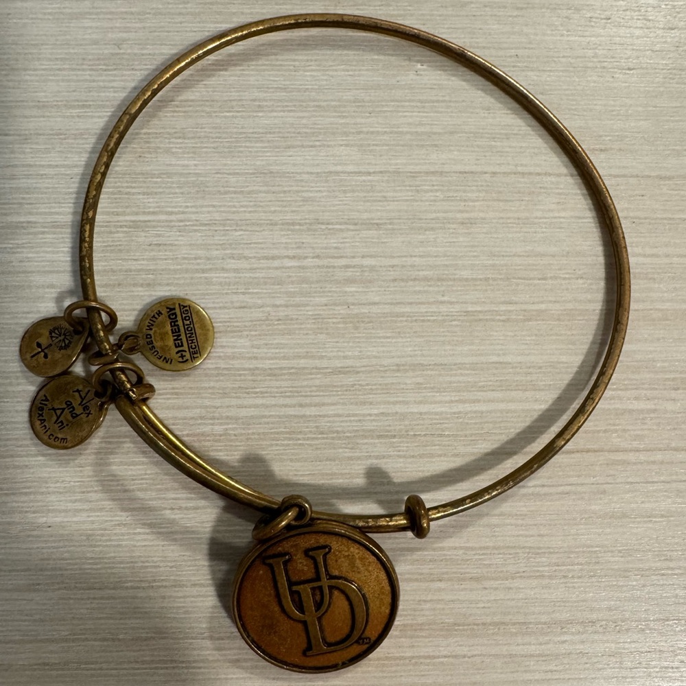 University of Delaware Alex and Ani Bracelet